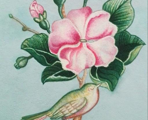 عکس نقاشی گل مرغ