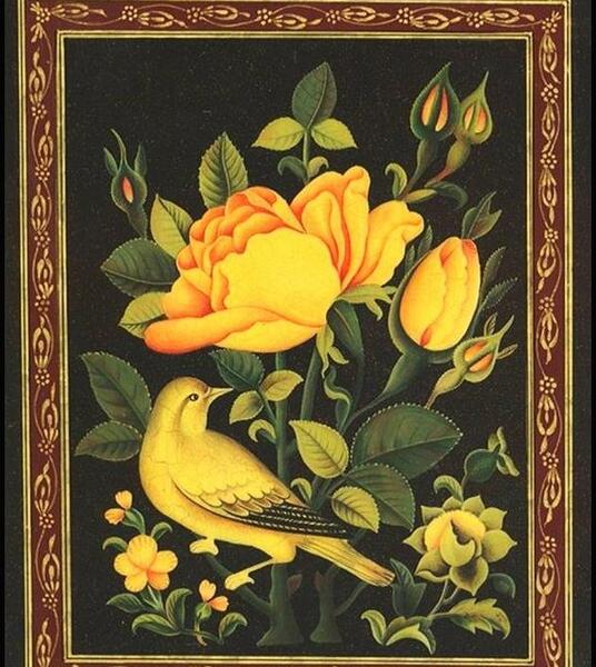 عکس نقاشی گل مرغ