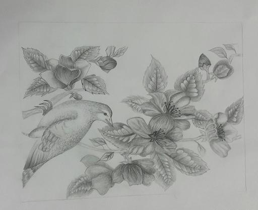عکس نقاشی گل مرغ