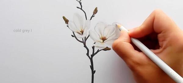 عکس نقاشی گل شاخه ای