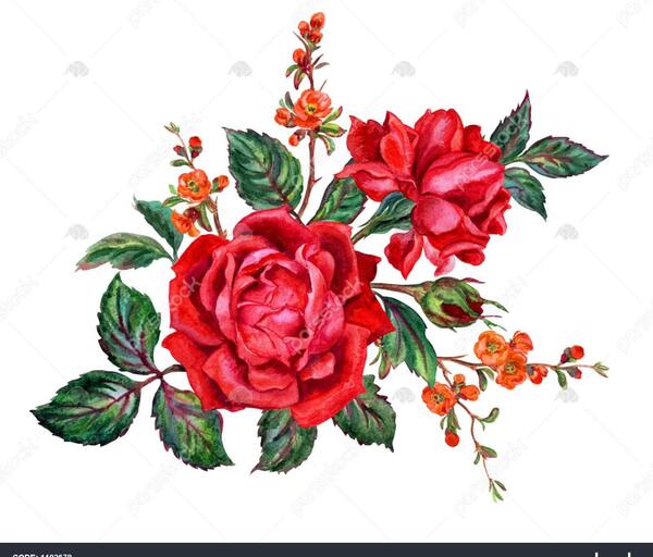 عکس نقاشی گل شاخه ای