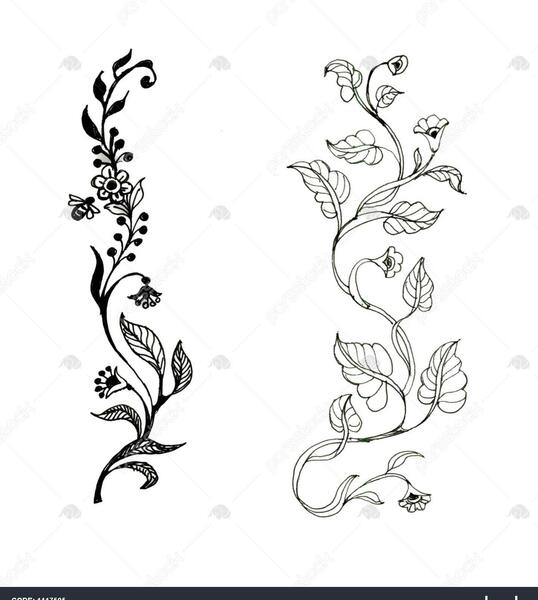 عکس نقاشی گل شاخه ای