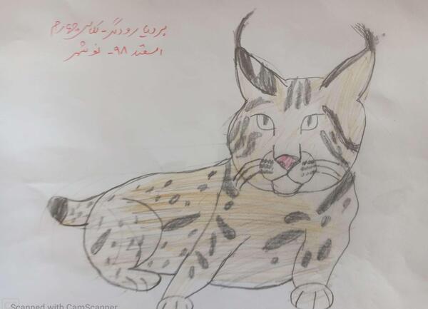 عکس نقاشی سیاه قلم حیوانات وحشی