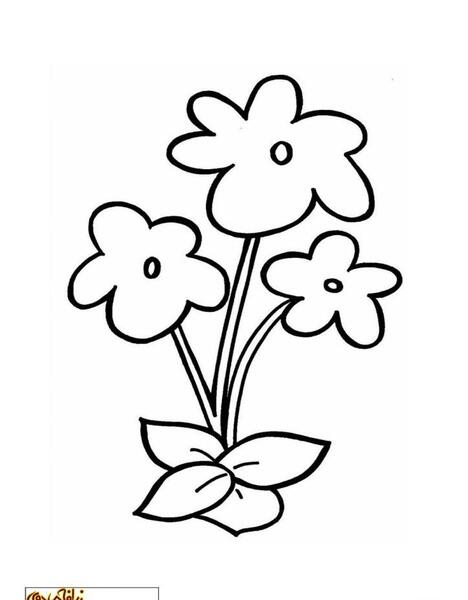 عکس نقاشی ساده گل برای کودکان