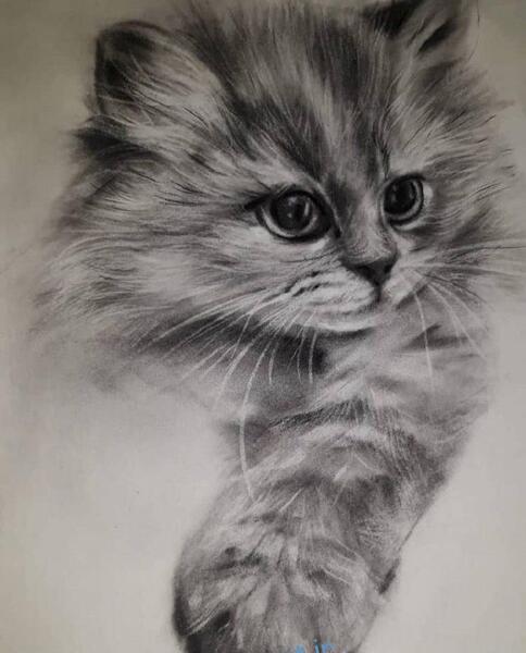 عکس نقاشی سیاه قلم حیوان