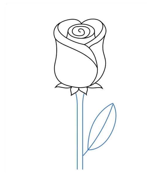 عکس نقاشی گل رز