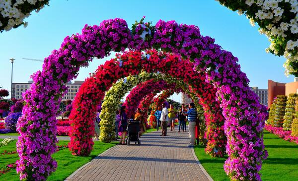 عکس کل دبی