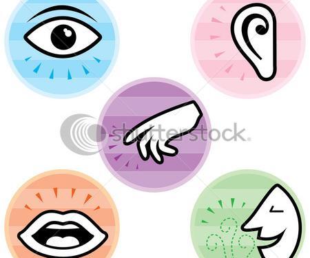 عکس نقاشی ساده حواس پنجگانه