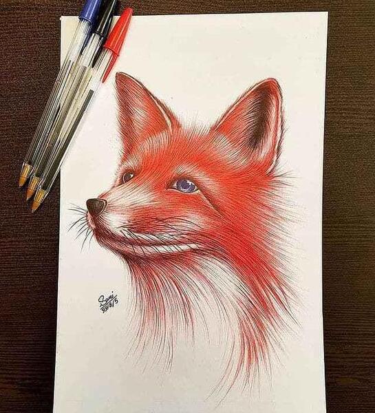 عکس نقاشی سیاه قلم روباه