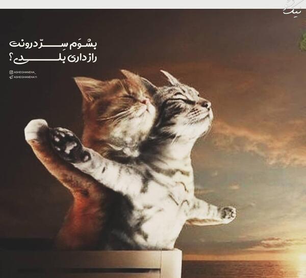 عکس دونفره حیوان