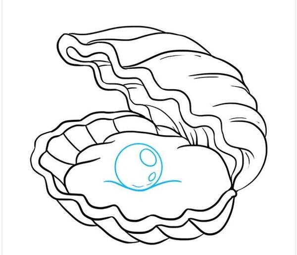 عکس نقاشی صدف سیاه قلم