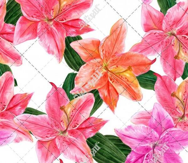 عکس نقاشی گل سوسن