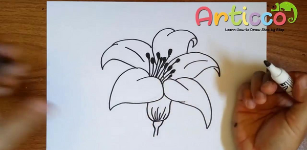 عکس نقاشی گل سوسن