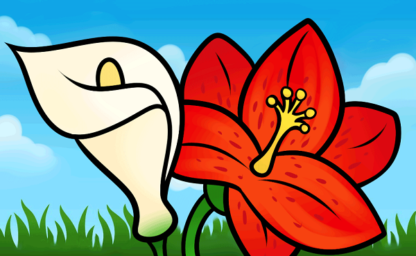 عکس نقاشی گل سوسن