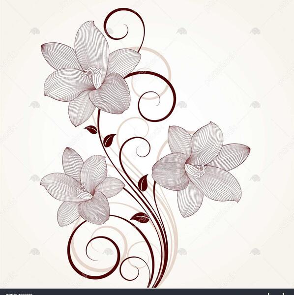عکس نقاشی گل سوسن