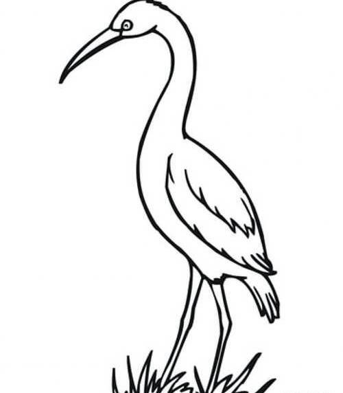 عکس نقاشی کودکانه لک لک