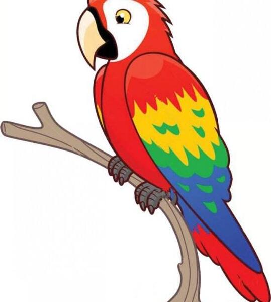 عکس نقاشی فانتزی طوطی