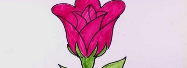 عکس مدل نقاشی گل با مداد رنگی