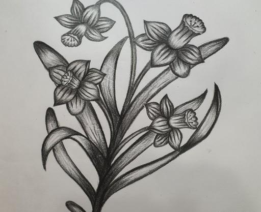 عکس نقاشی سیاه قلم از ظرف
