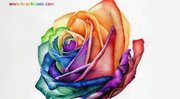 عکس طرح نقاشی گل رز با مداد رنگی