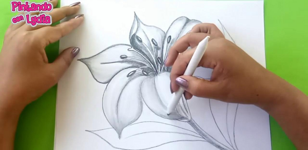 عکس نقاشی گل طراحی