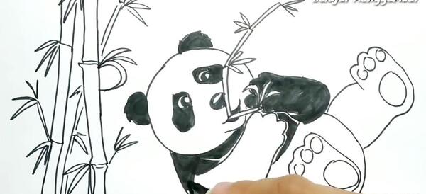 عکس نقاشی سیاه قلم پاندا
