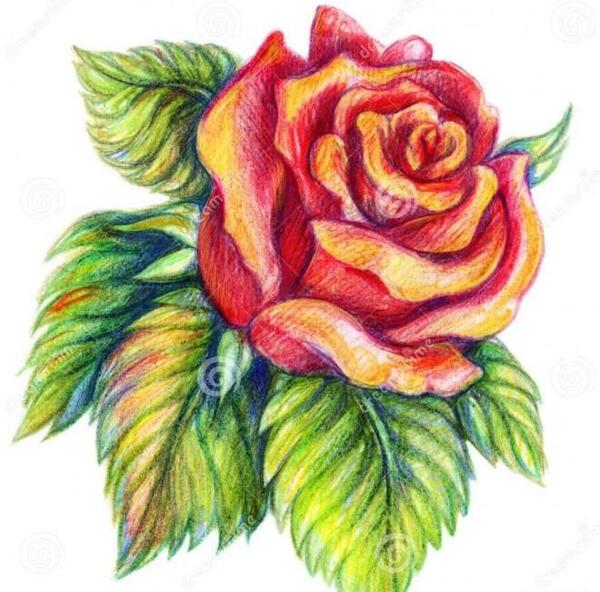 عکس نقاشی های زیبا ی گل