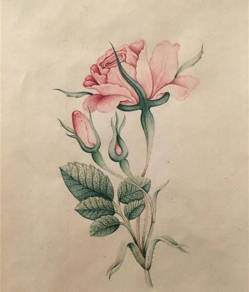 عکس نقاشی گل حاشیه
