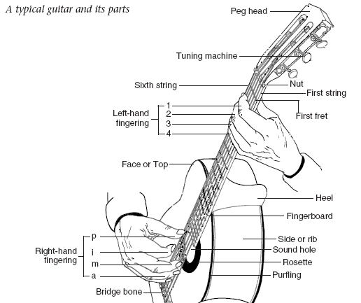 عکس کوک گیتار