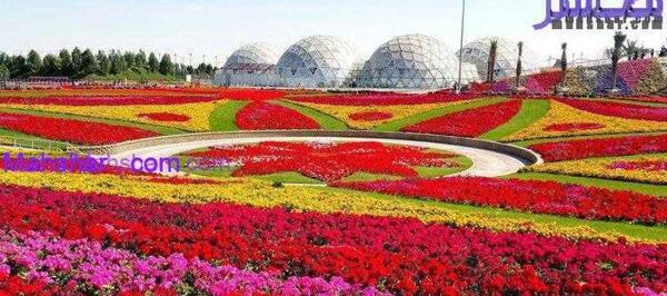 عکس باغ گلها دبی