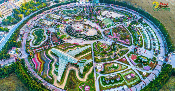 عکس باغ گلها دبی