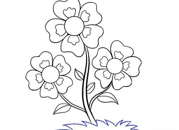 عکس نقاشی گل صد برگ