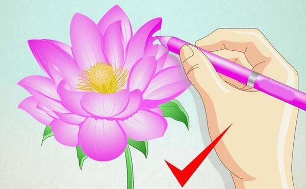 عکس نقاشی گل نیلوفر ساده