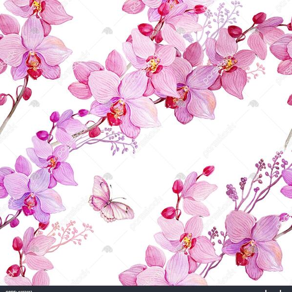 عکس نقاشی گل ارکیده با مداد رنگی