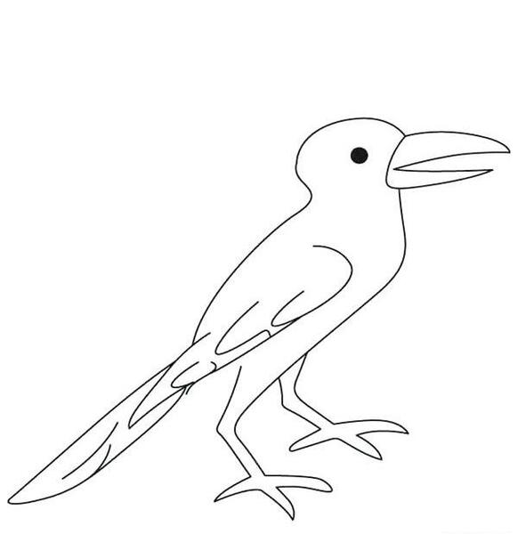 عکس نقاشی ساده کلاغ