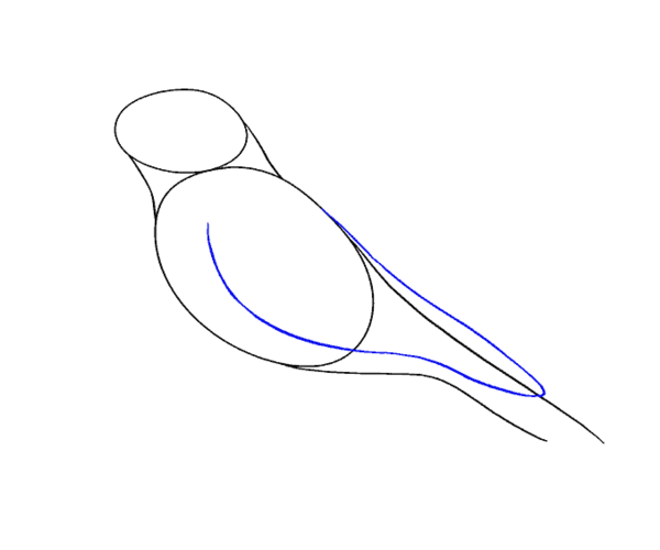 عکس نقاشی ساده کلاغ