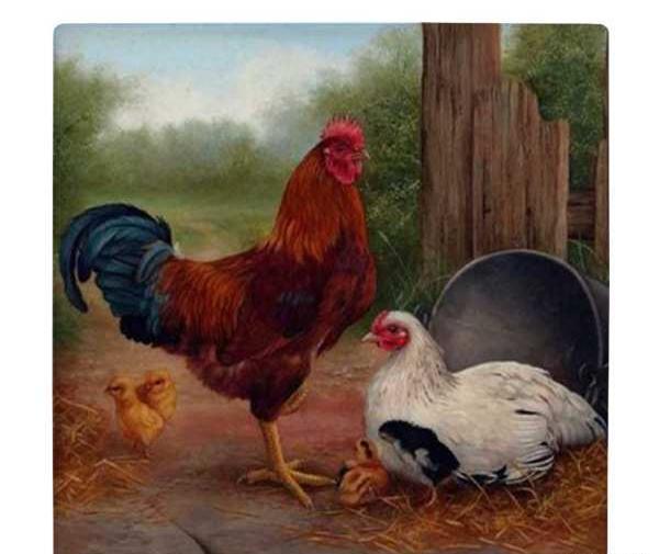 عکس نقاشی خروس