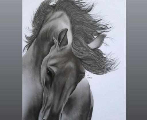 عکس نقاشی سیاه قلم اسب و دختر