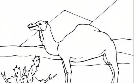 عکس نقاشی ساده صحرا