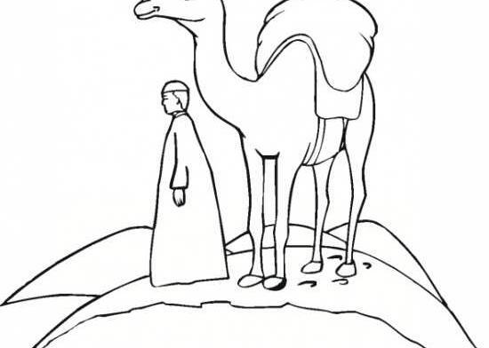 عکس نقاشی ساده صحرا