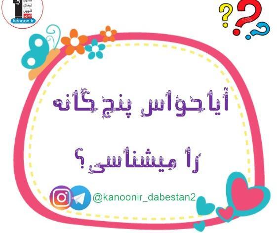 عکس نقاشی کودکانه حواس پنجگانه