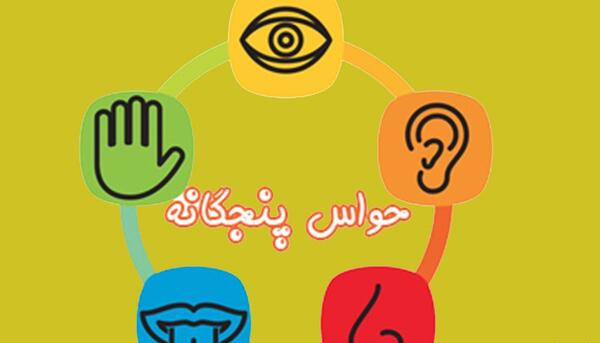 عکس نقاشی کودکانه حواس پنجگانه