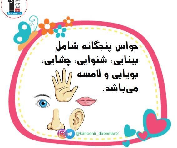 عکس نقاشی کودکانه حواس پنجگانه