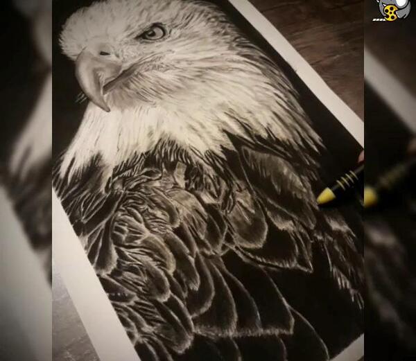 عکس مدل نقاشی سیاه قلم عقاب