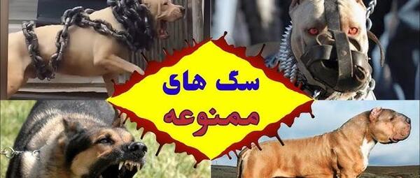 عکس ترسناک ترین سگ دنیا