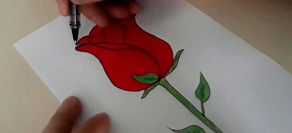 عکس نقاشی گل قرمز