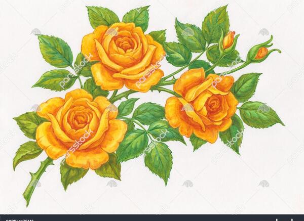 عکس نقاشی گل زرد
