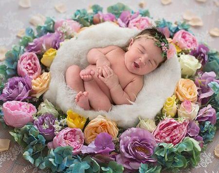 عکس آتلیه گل