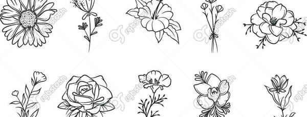 عکس نقاشی گل مینیمال