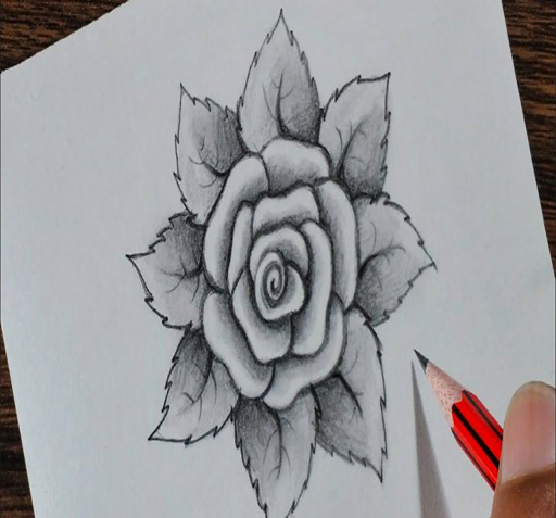 عکس نقاشی های زیبا گل